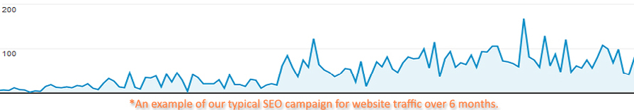 Web traffic chart for Perth business site